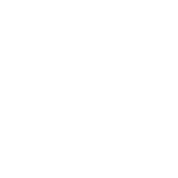 быстрые сроки доставки